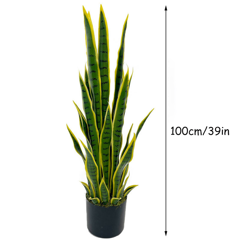 Planta de Sansevieria Artifici - Ficus Lyrata Tree reseña y precio