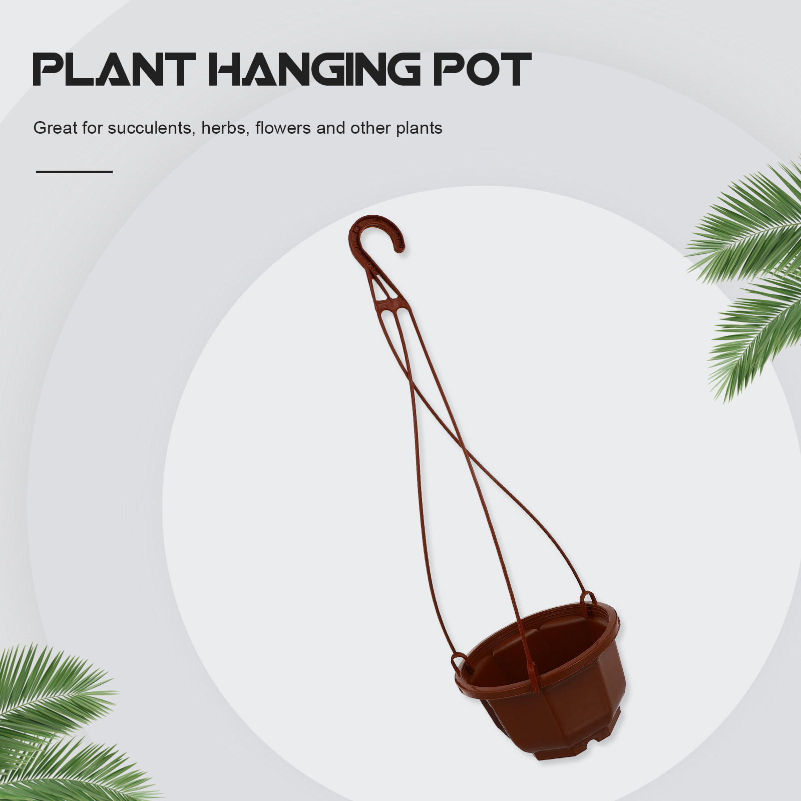 6 macetas colgantes para orquí - Spider Plant Hanging reseña y precio