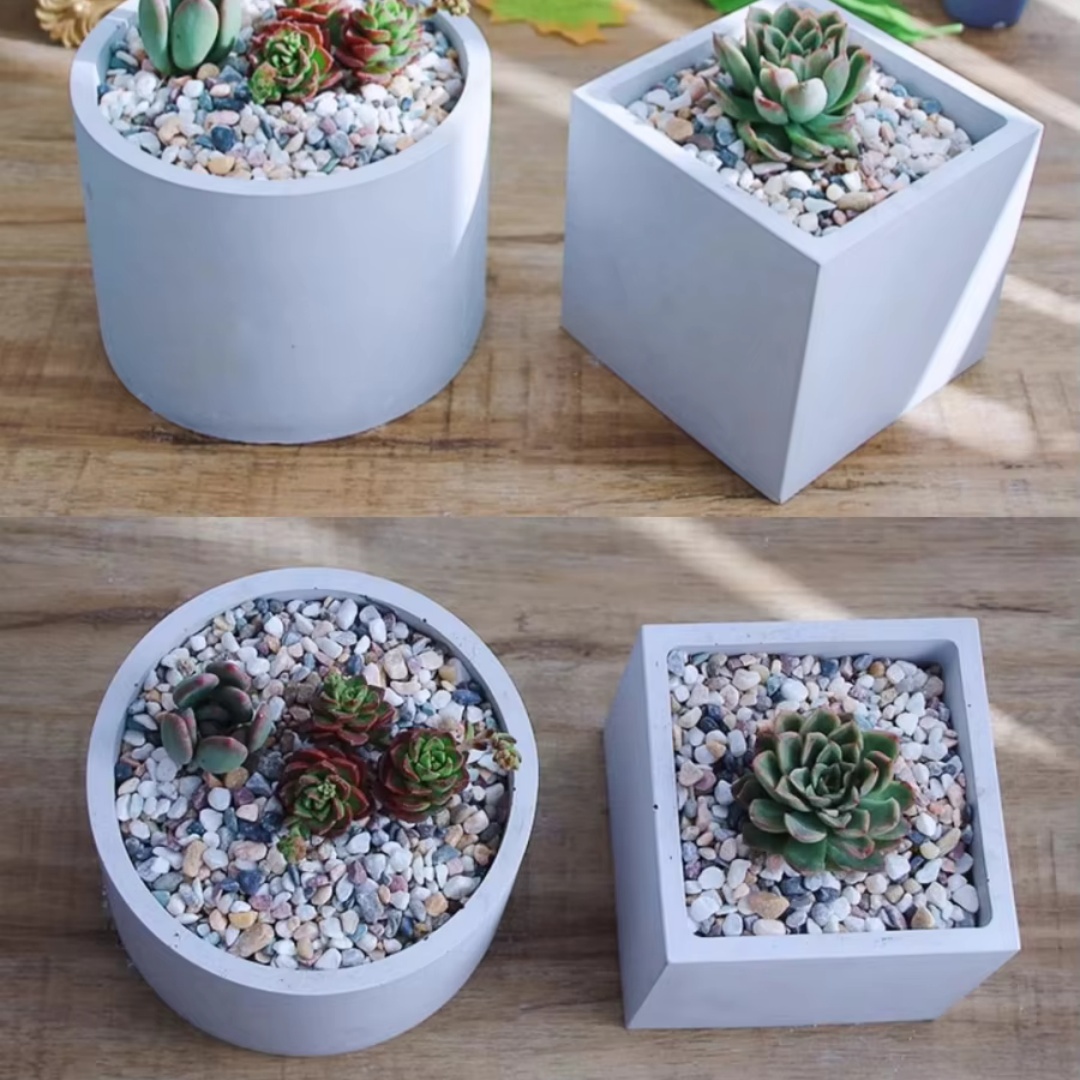 Molde de silicona redondo de 1 - Echeveria Succulent reseña y precio