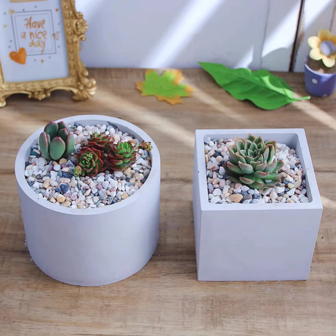 Molde de silicona redondo de 1 - Echeveria Succulent reseña y precio
