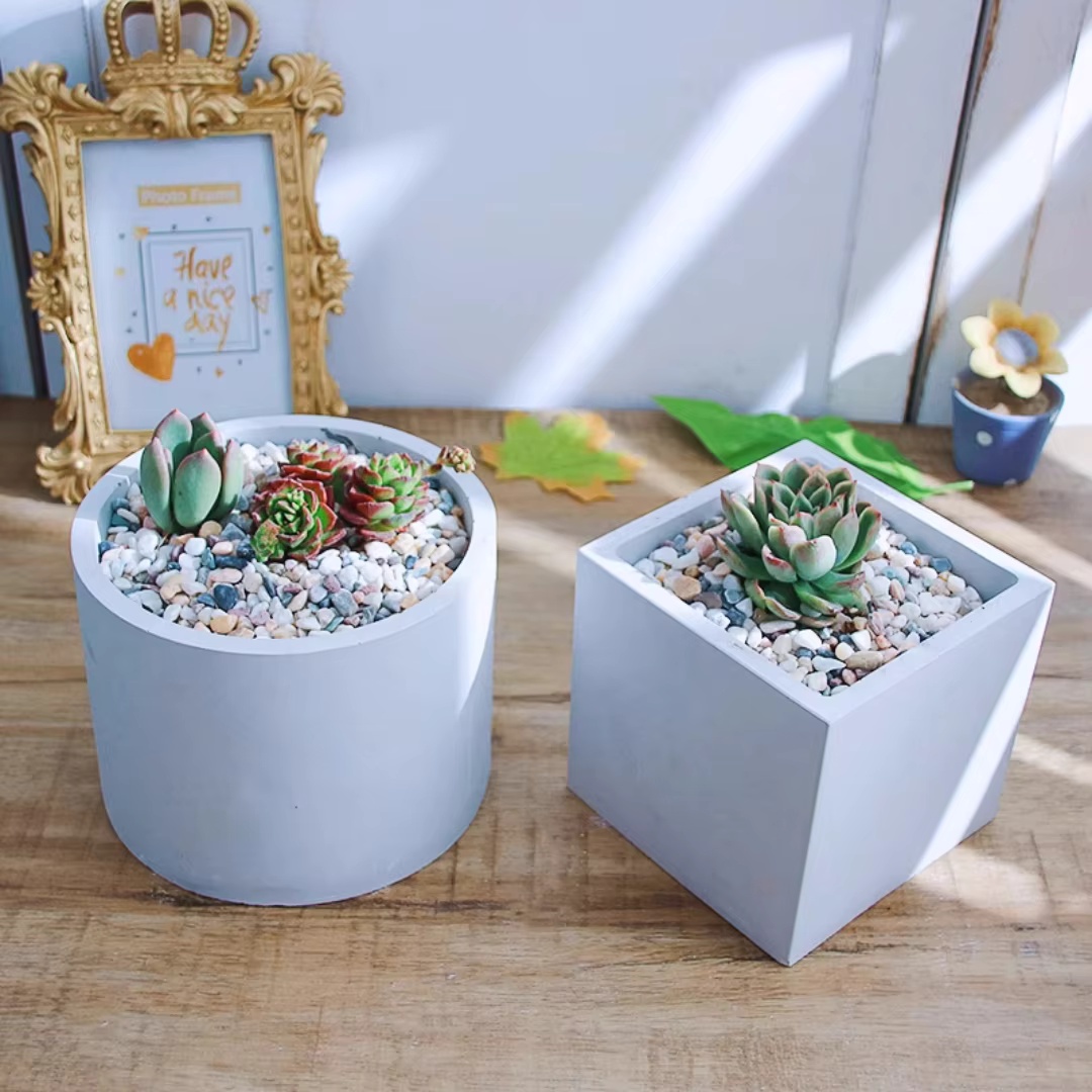 Molde de silicona redondo de 1 - Echeveria Succulent reseña y precio